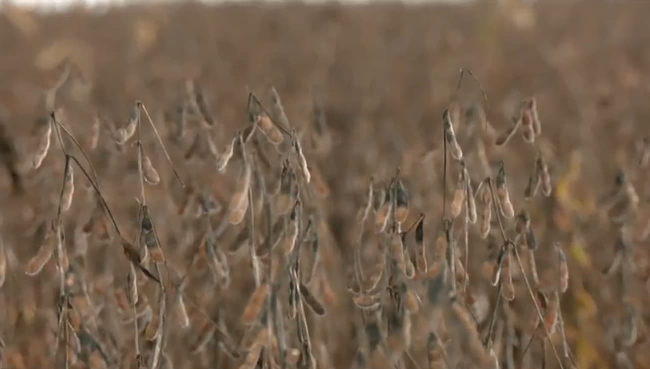 Chuvas no TO expõem descaso com pequeno produtor rural