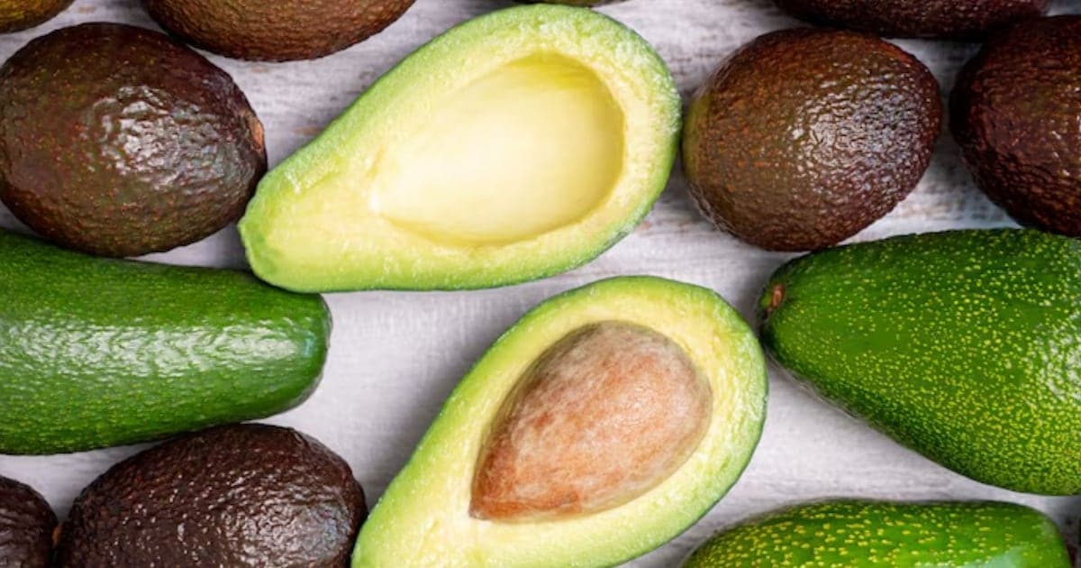 Abacate: o alimento do povo que a elite nutricional ignorava